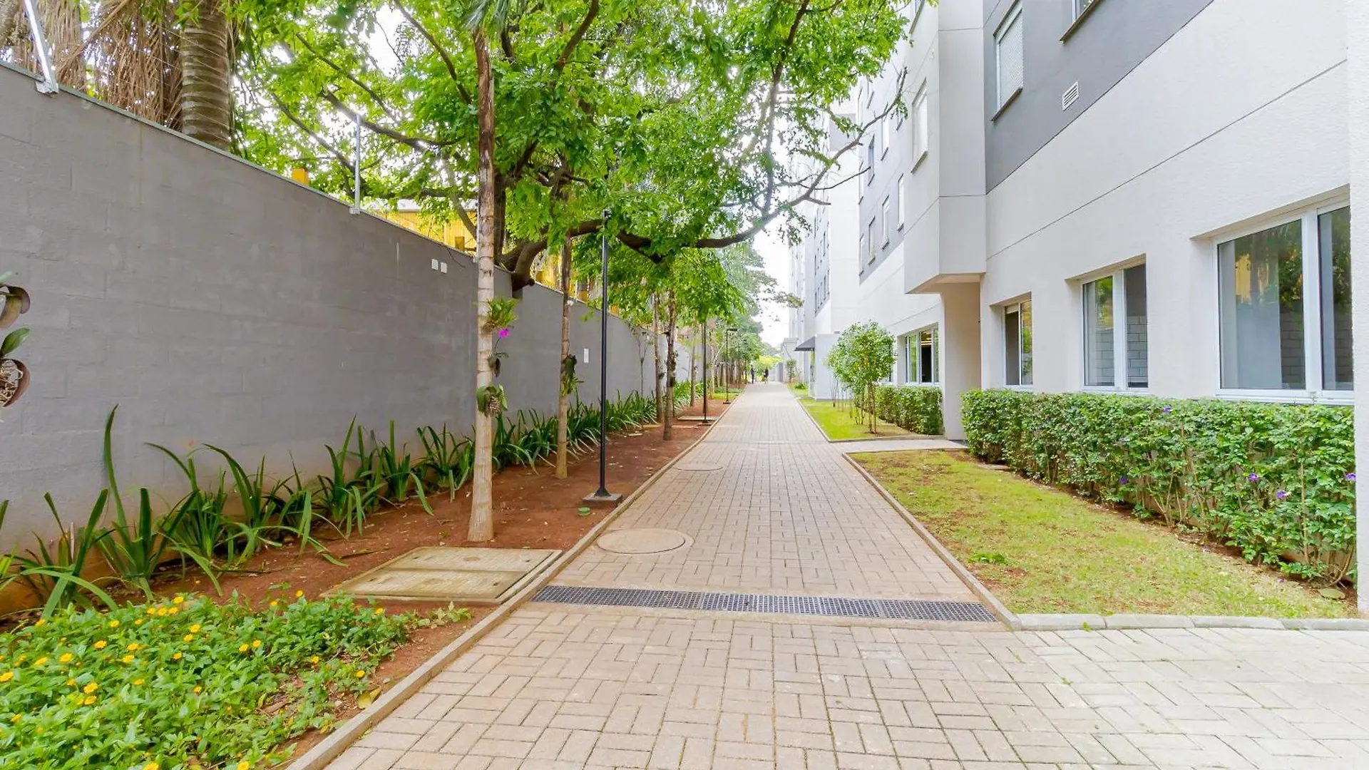 Apto 2 Dorm I Prox Ao Transamerica Expo E Vibra Sp Sao Paulo 0*,